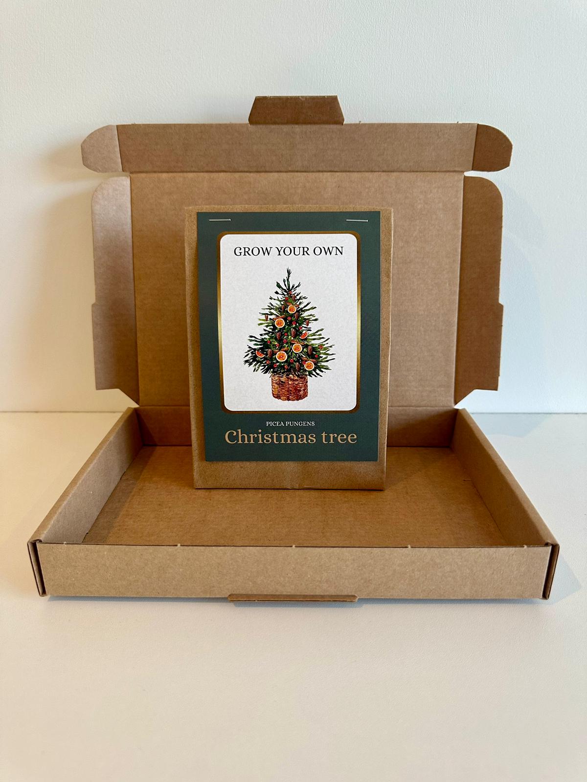 Eigen Kerstboom Kweekset