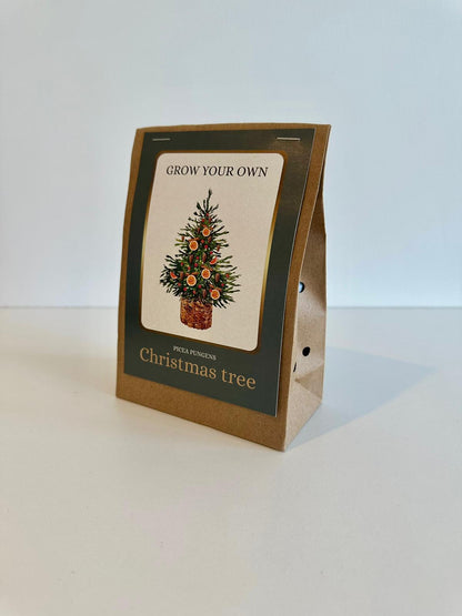 Eigen Kerstboom Kweekset