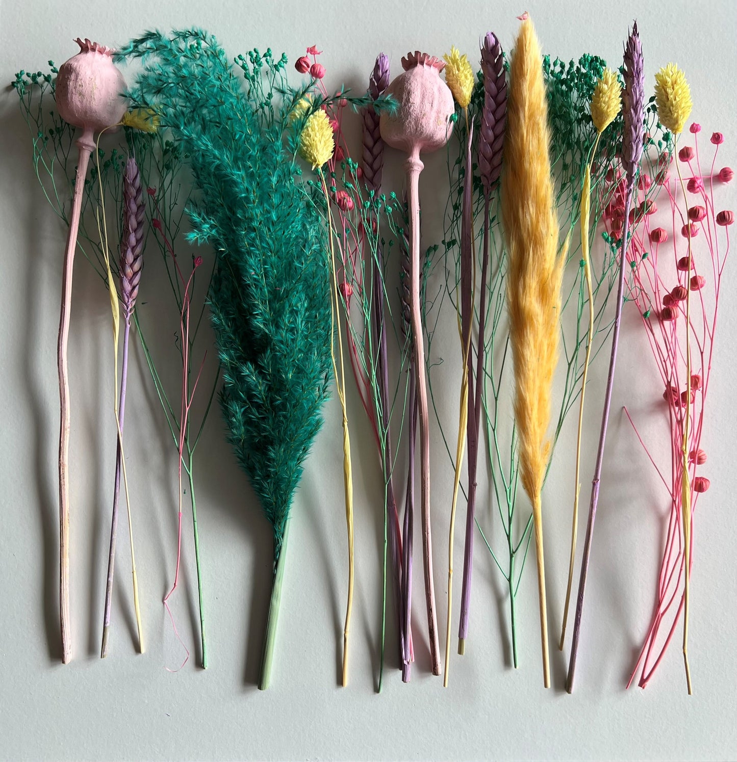Dry bouquet fur